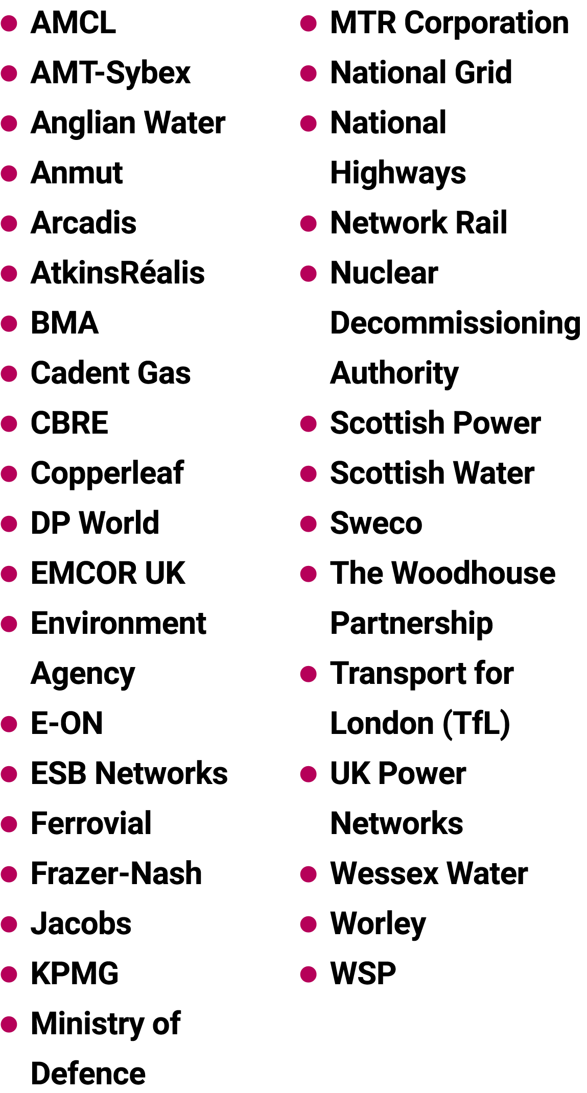 ● AMCL ● AMT Sybex ● Anglian Water ● Anmut ● Arcadis ● AtkinsR alis ● BMA ● Cadent Gas ● CBRE ● Copperleaf ● DP World...