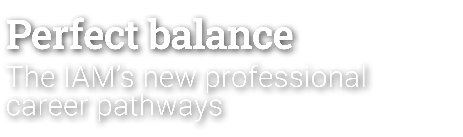Perfect balance The IAM’s new professional career pathways