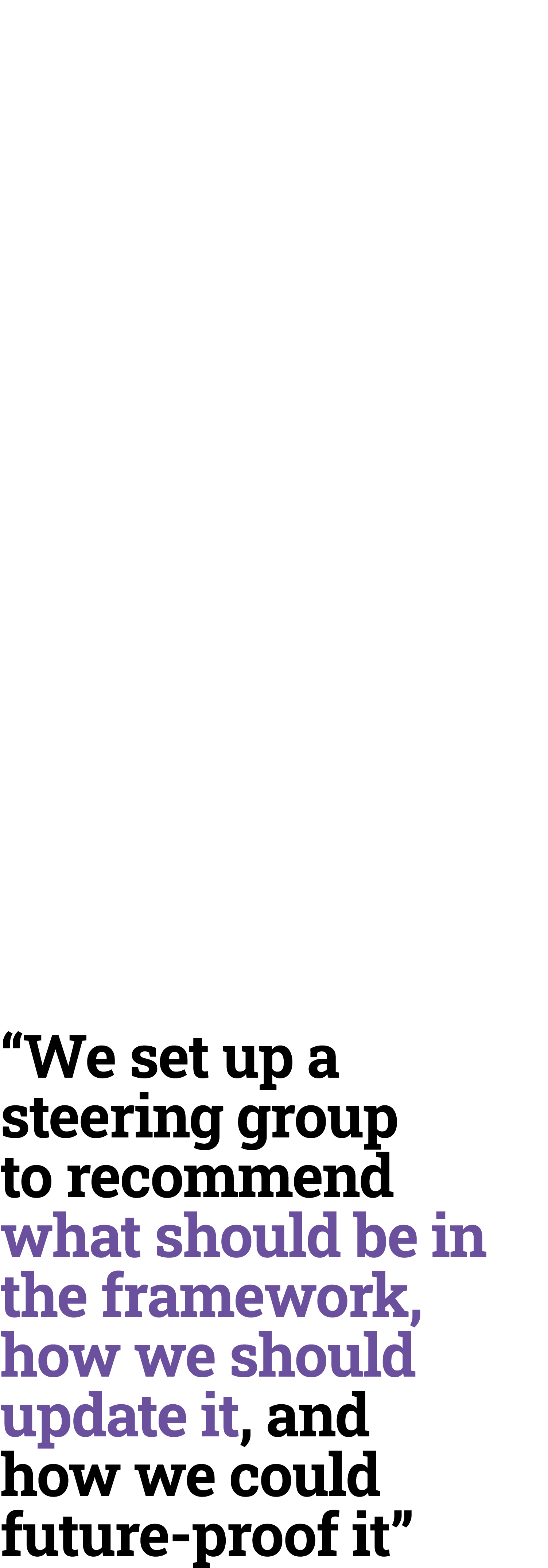 “We set up a steering group to recommend what should be in the framework, how we should update it, and how we could f...