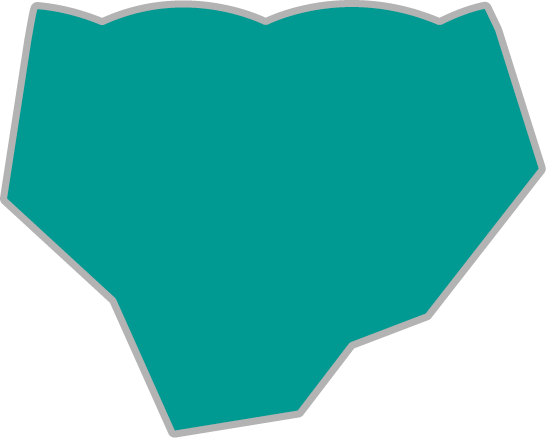 Polygon