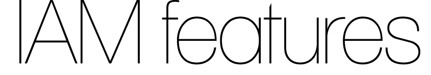 IAM features