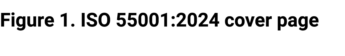 Figure 1. ISO 55001:2024 cover page