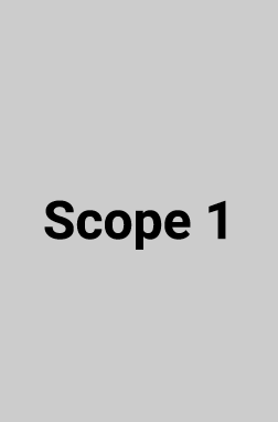 Scope 1