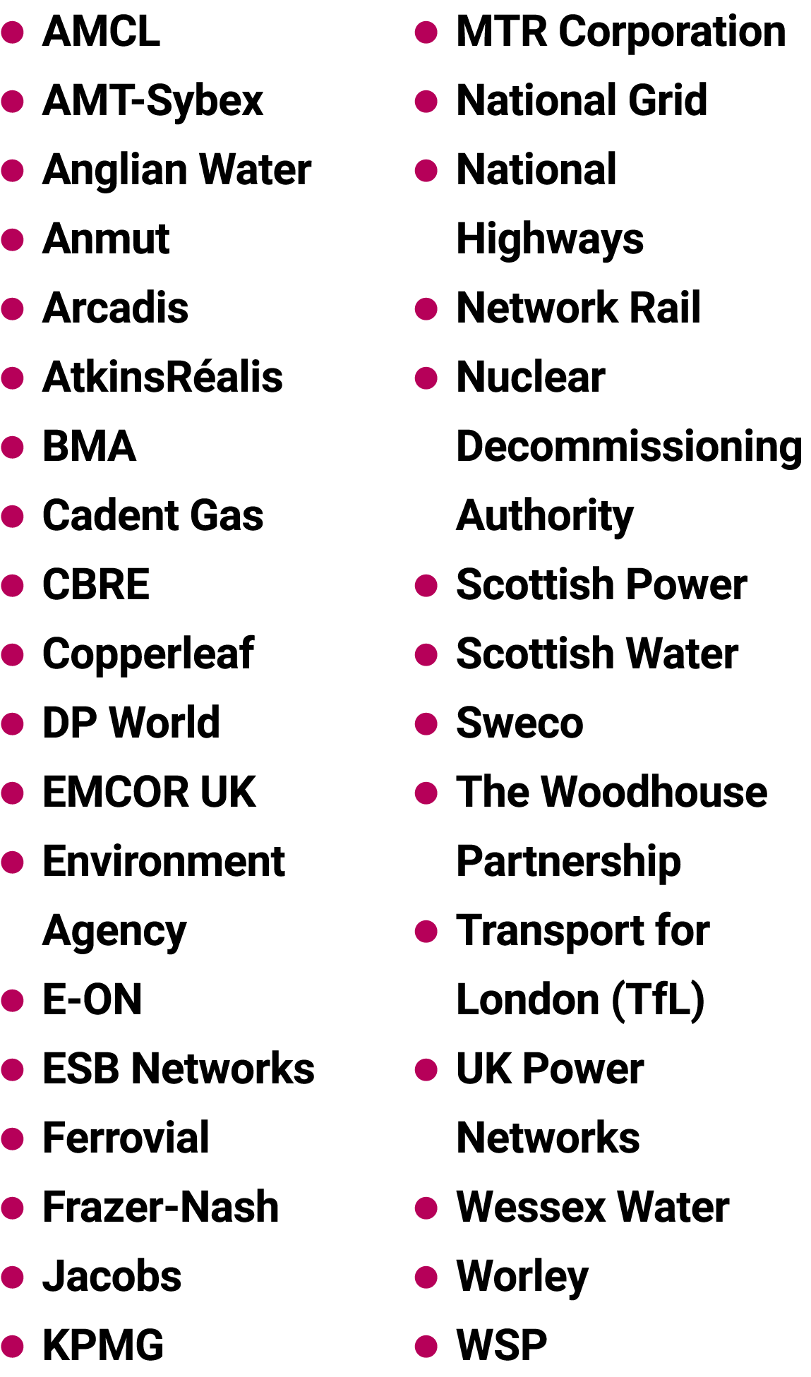 ● AMCL ● AMT Sybex ● Anglian Water ● Anmut ● Arcadis ● AtkinsR alis ● BMA ● Cadent Gas ● CBRE ● Copperleaf ● DP World...