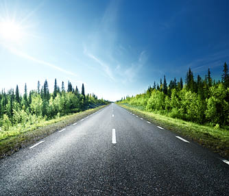 Road in forest, Sweden