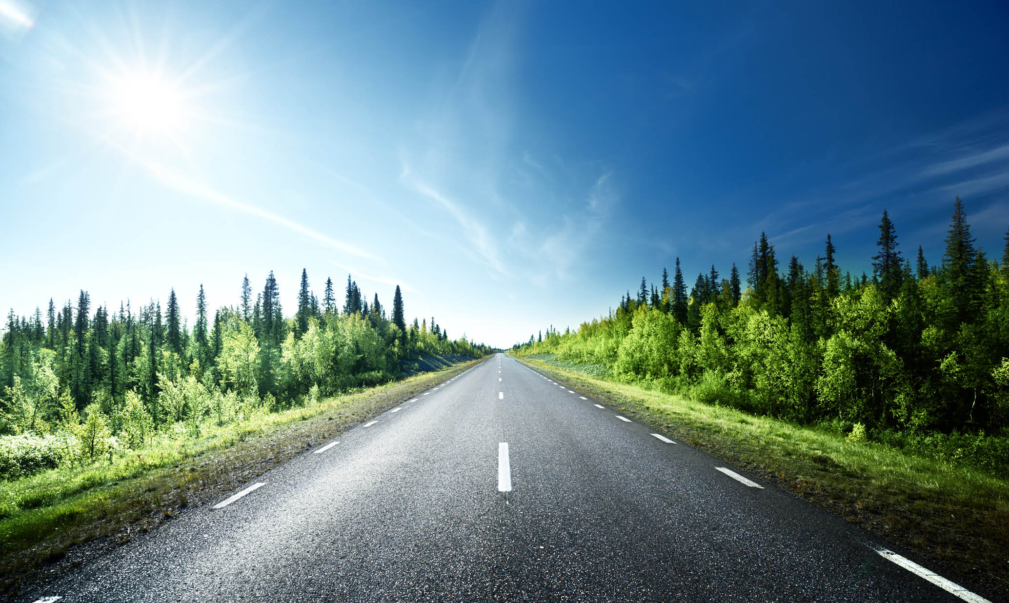 Road in forest, Sweden