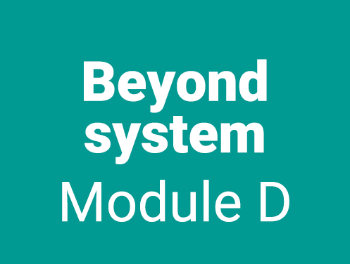Beyond system Module D