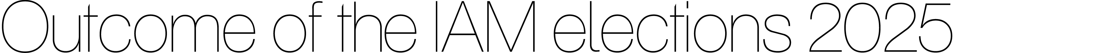 Outcome of the IAM elections 2025